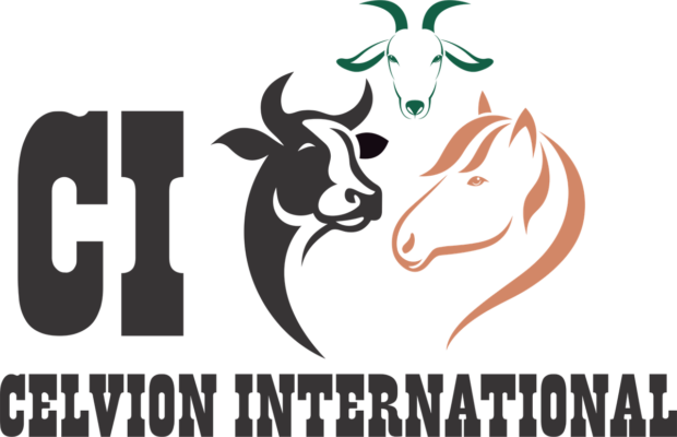 Celvion International
