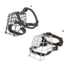 Dog Accessories