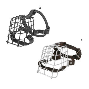 Dog Accessories