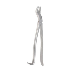 Equine Dental Instruments