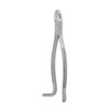 Equine Dental Instruments