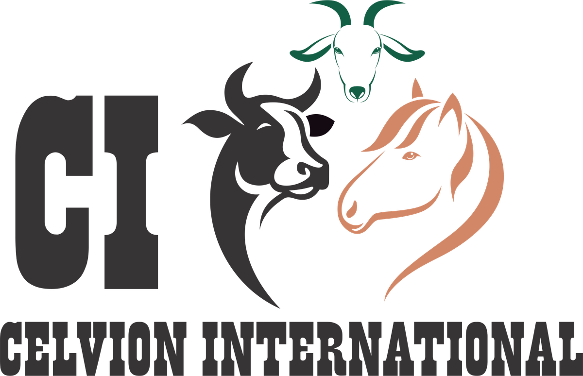 celvioninternational.com